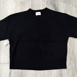 Wilfred maria Luxe cashmere black crewneck NWT